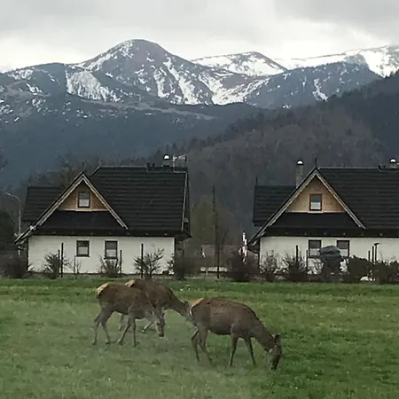A1willa Skoczek Poludniowy 2 Pokojowy Z Aneks Kuchenny Promocja Na Termach Dla 2 Osob Gratis *